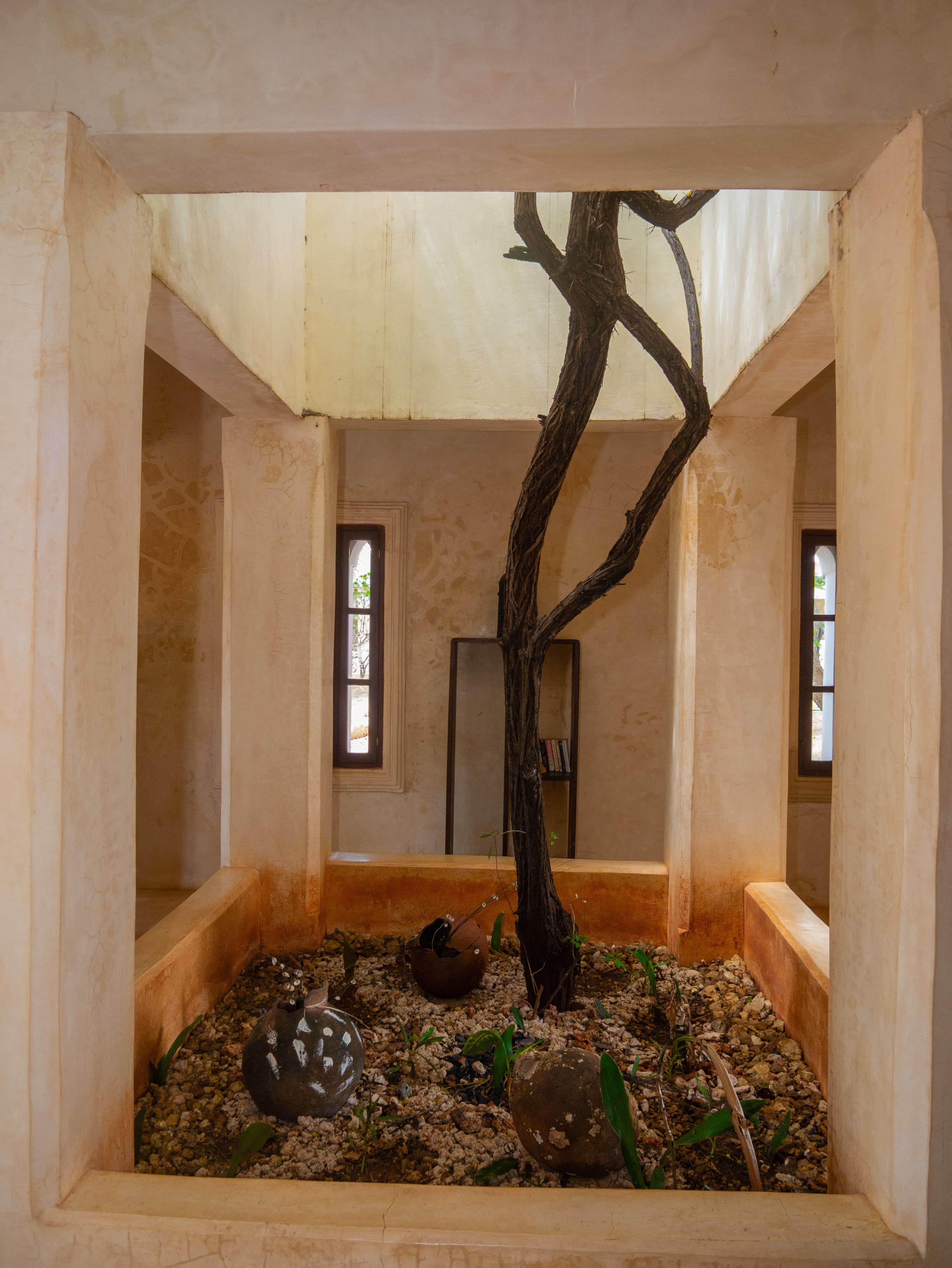 Tree growing inside the house — unique architectural feature